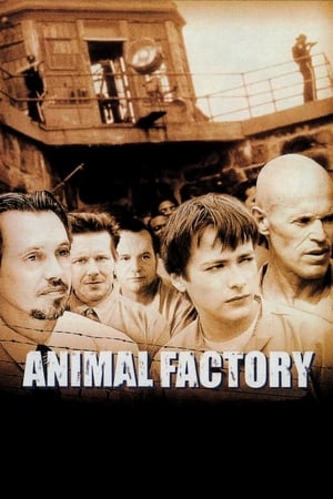 Animal Factory (2000) Hindi Dual Audio [950MB]