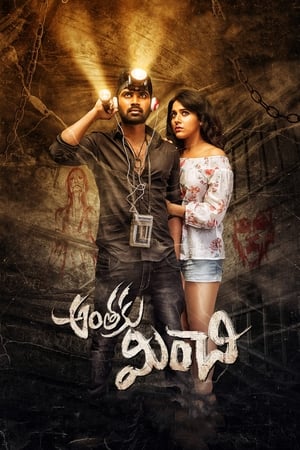 Anthaku Minchi (2018) Hindi Dubbed [1GB]