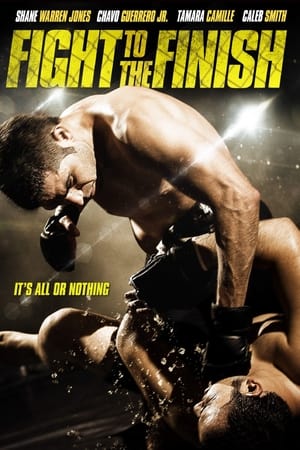 Fight To The Finish (2016) Hindi Dual Audio With ESubs
