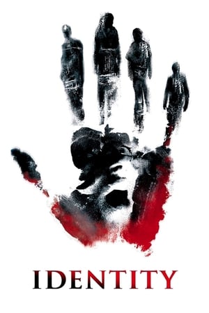 Identity 2003 Hindi Dual Audio 300MB