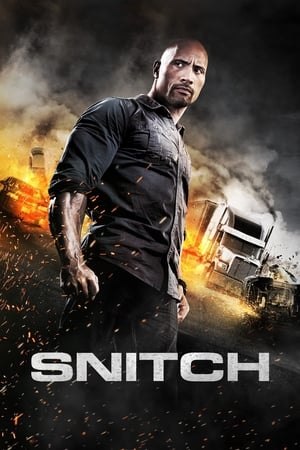 Snitch (2013) Hindi Dual Audio [930MB]
