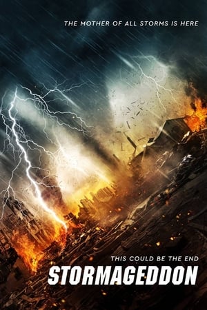 Stormageddon (2015) Hindi Dual Audio [1.1GB]