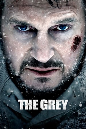 The Grey 2011 Hindi Dual Audio 360MB